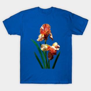 Irises - Bronze-Colored Irises T-Shirt